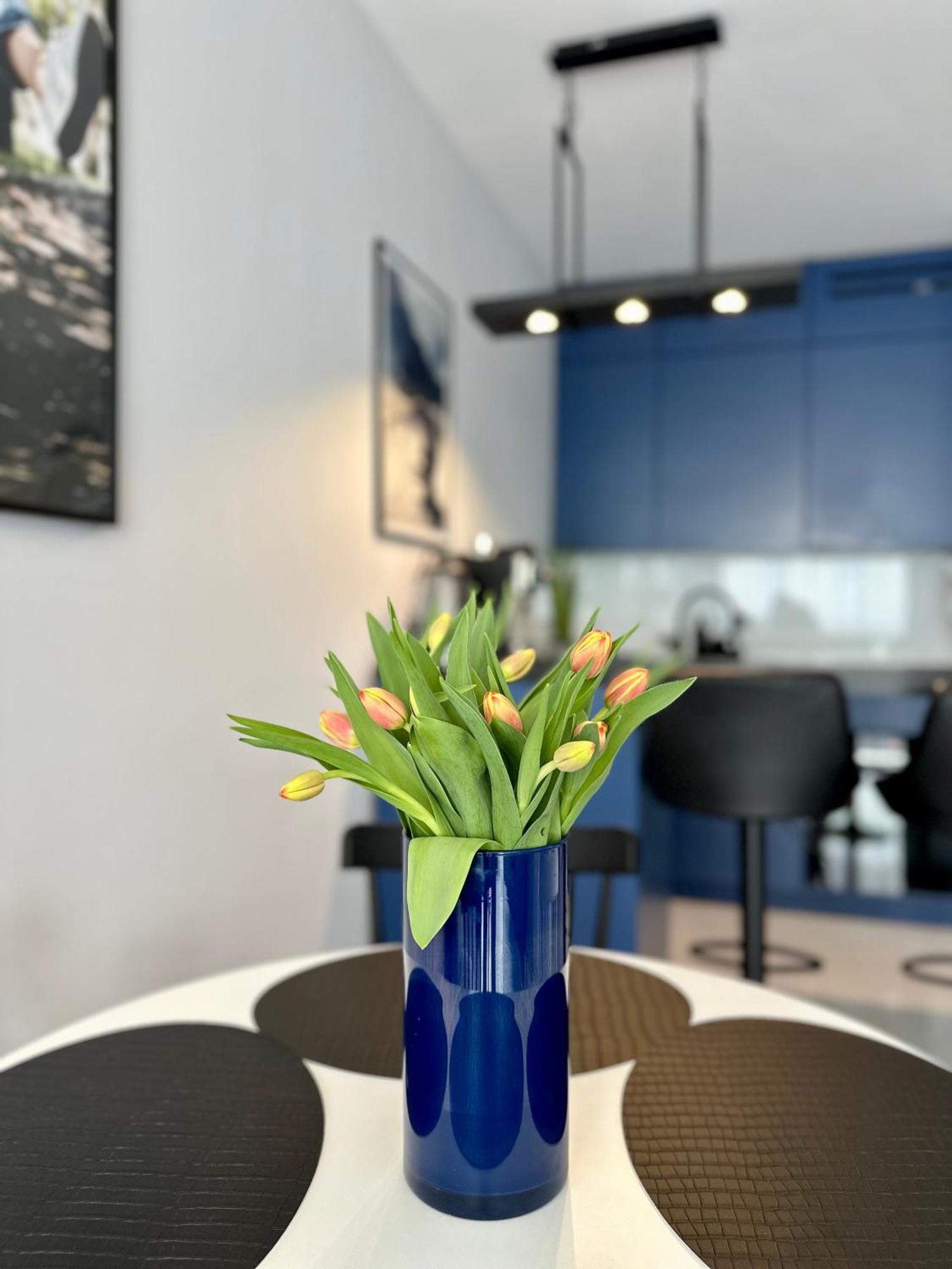 Apartament Blisko Gor Szyndzielnia Bielsko-Biała Zewnętrze zdjęcie